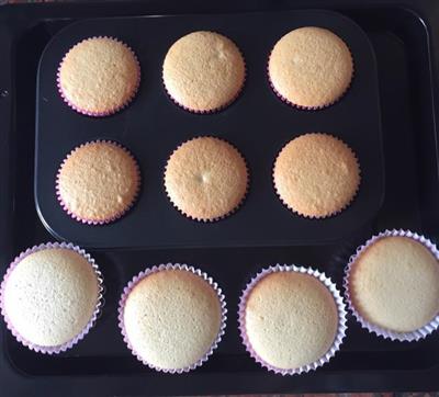 Honey sponge cake cups