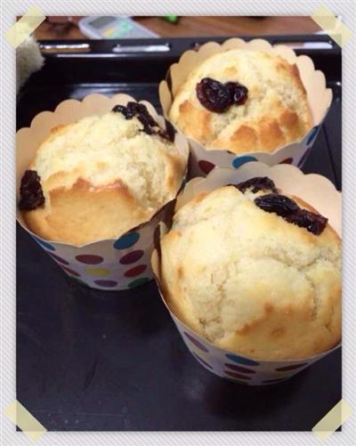 Cranberry leche muffin