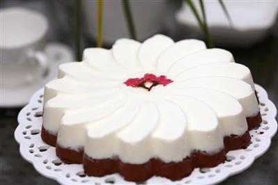 Yoghurt and chocolate mousse cake