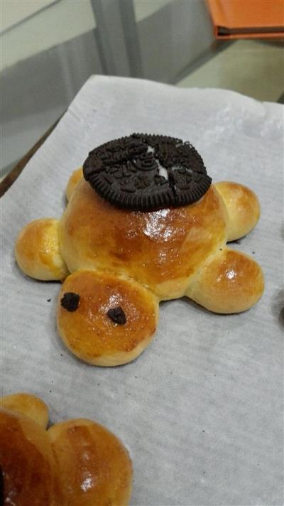 Turtle bread