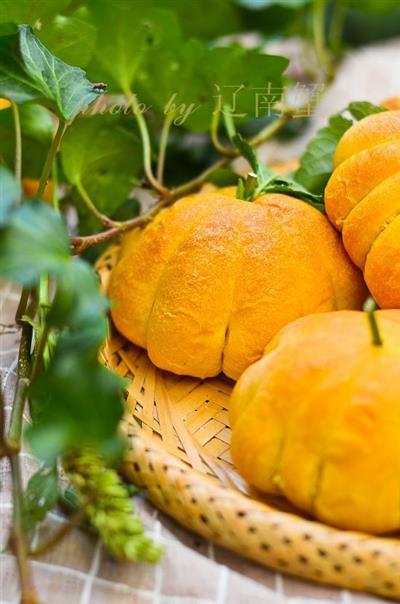 Bionomo pan de calabaza