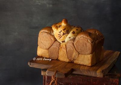 Gato perezoso toast