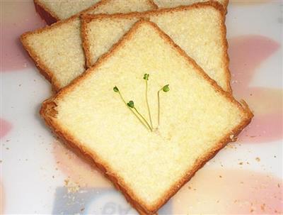 Light cream toast