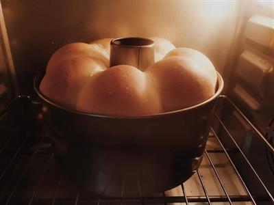 A small round bag of fermentation