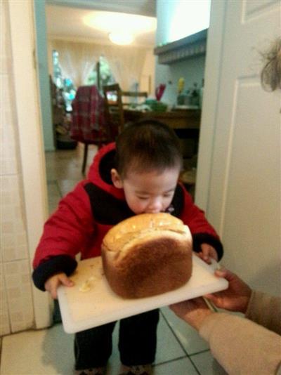 Maquina de pan dulce toús pan