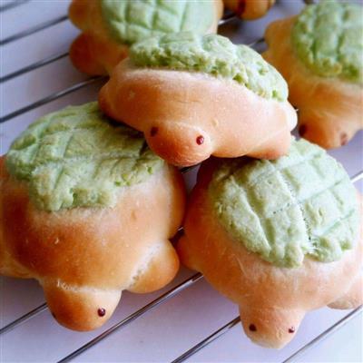 Turtle bread is a cute little thing that makes you sick.