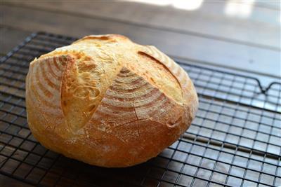 Poolish village bread