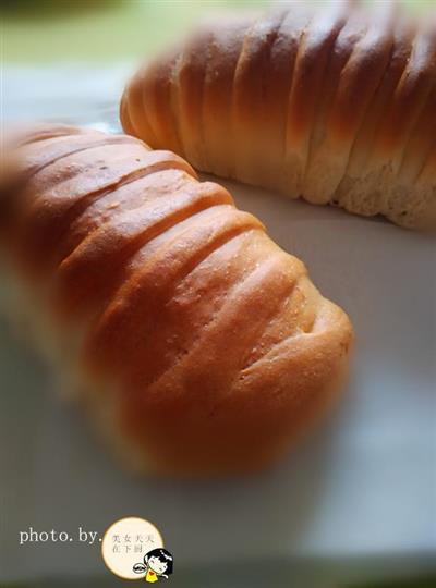 The common flour caterpillar