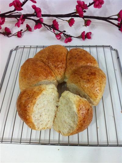 Whole wheat olive oil bread