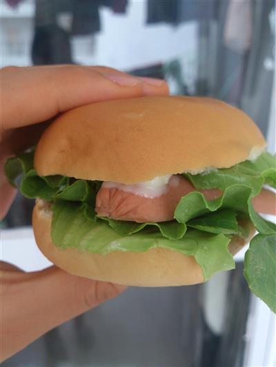 Familia estudiantil casera desayuno hamburguesa