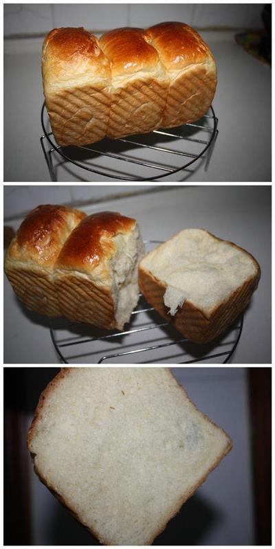 Castor soft bread