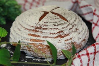 Harina de germen rojo pan de azúcar