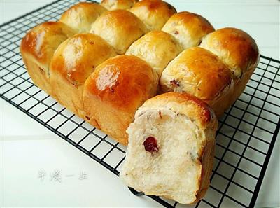 Cranberry yogurt and whole wheat bread