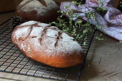 Cranberry chocolate soft wrap