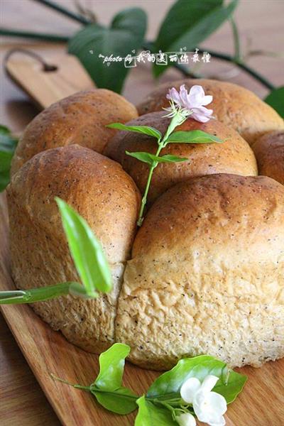 Paquete de comida sésamo