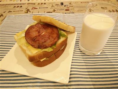 Homemade - double layered cheeseburger