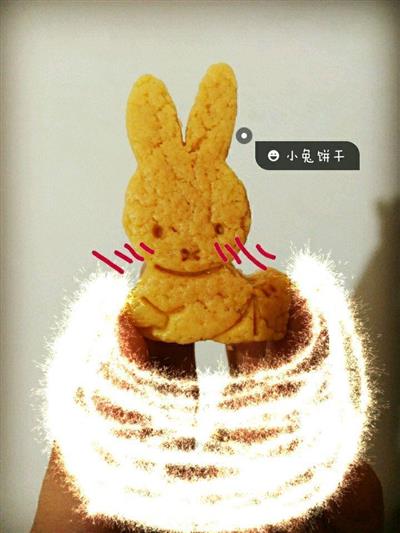 The little rabbit cookie