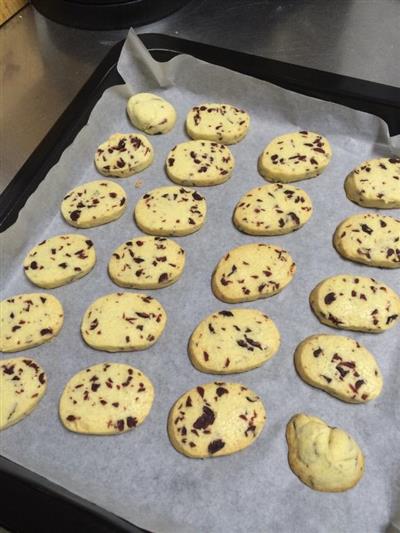 Pastelería novata mano fácil de hacer .  plantarse mercuchi galleta