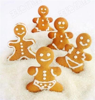 Navidad ginger biscuit