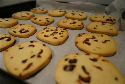 Cranberry cookies