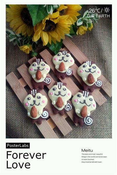 Cute squirrel cookies