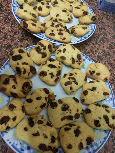 This is a very simple cranberry cookie.