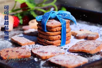 Cranberry cocoa cake and elephant cookies