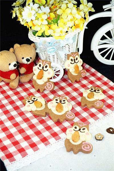 The squirrel biscuits