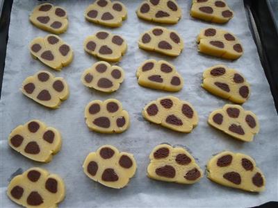 Cat's claw cookies