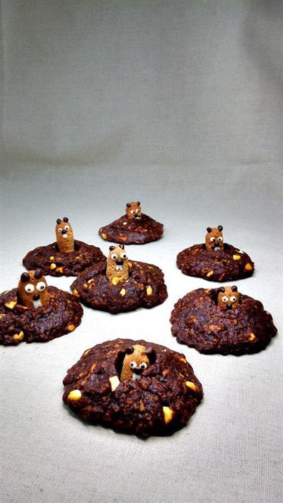 Ground squirrel cocoa biscuits