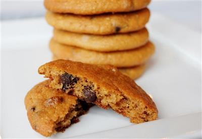 No oven - French fries and soft biscuits