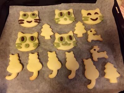 Cat cookies