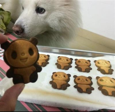 Tea and panda cookies