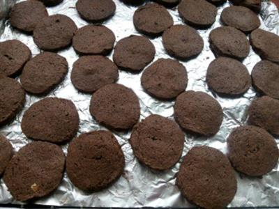 Cocoa biscuits