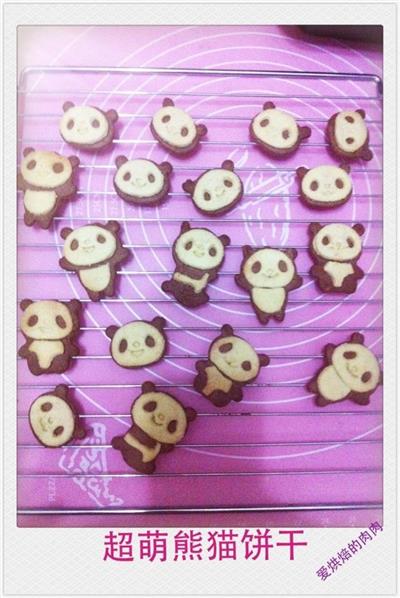 Super cute panda cookies