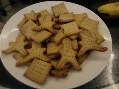 Whole wheat biscuits