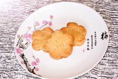 Chocolate and coconut meat cookies