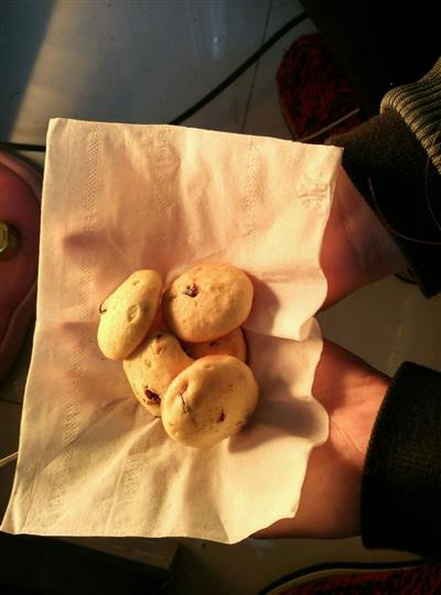 Crispy cranberry soft biscuits