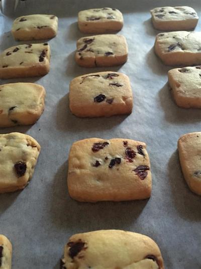 Cranberry cookies