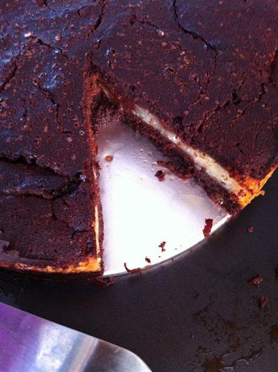 A thick cheese brownie cake