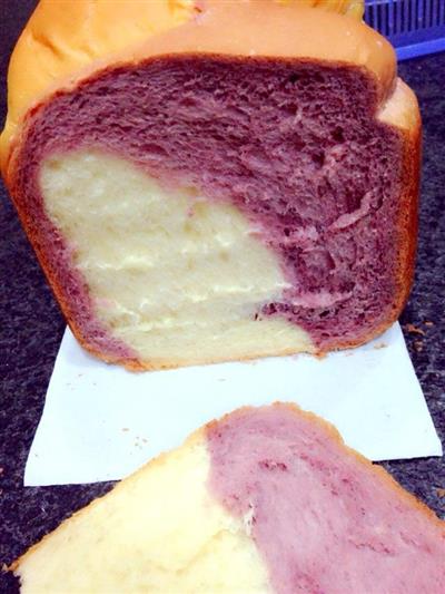 Toast bicolor