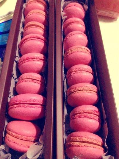 Novico Macarón